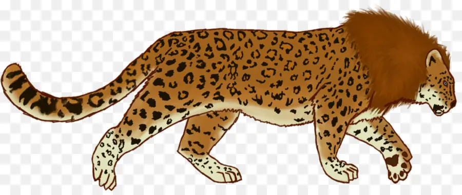 Leopardo，Jaguar PNG