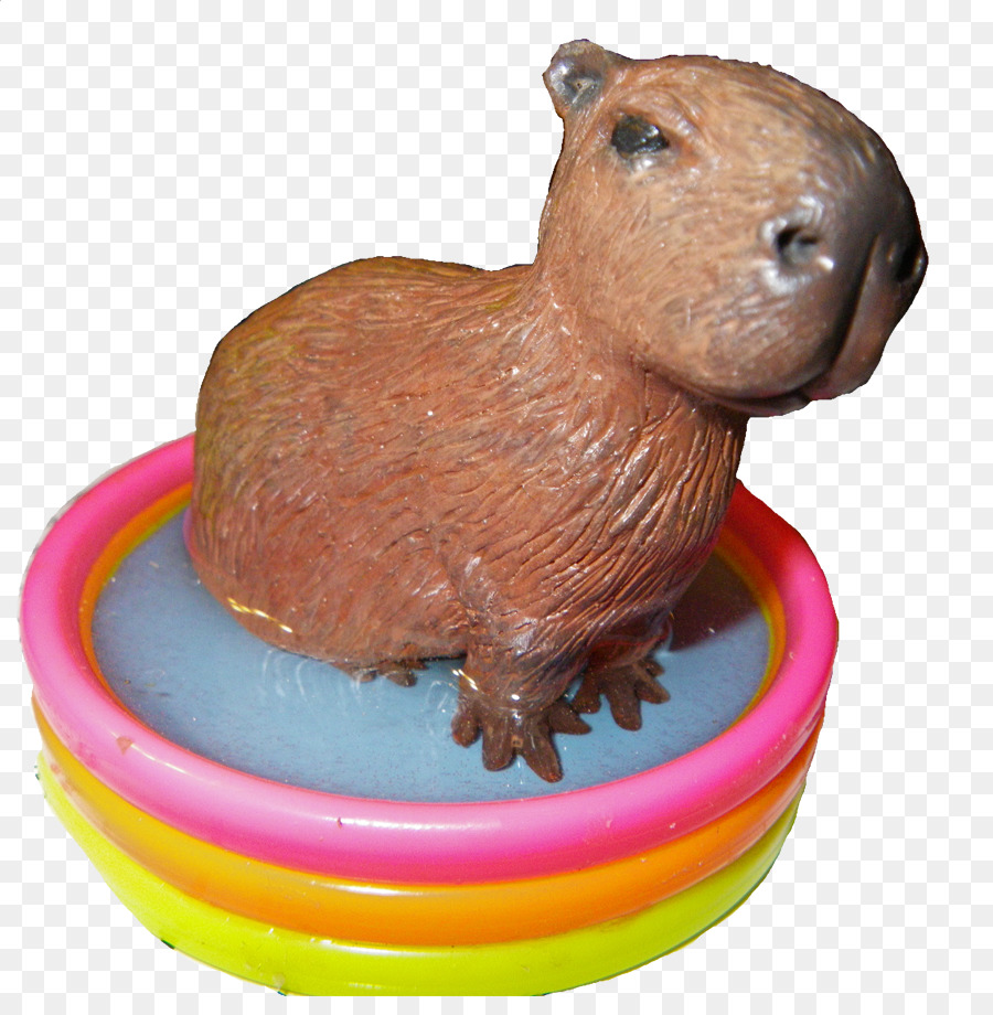 Capybara，Roedores PNG