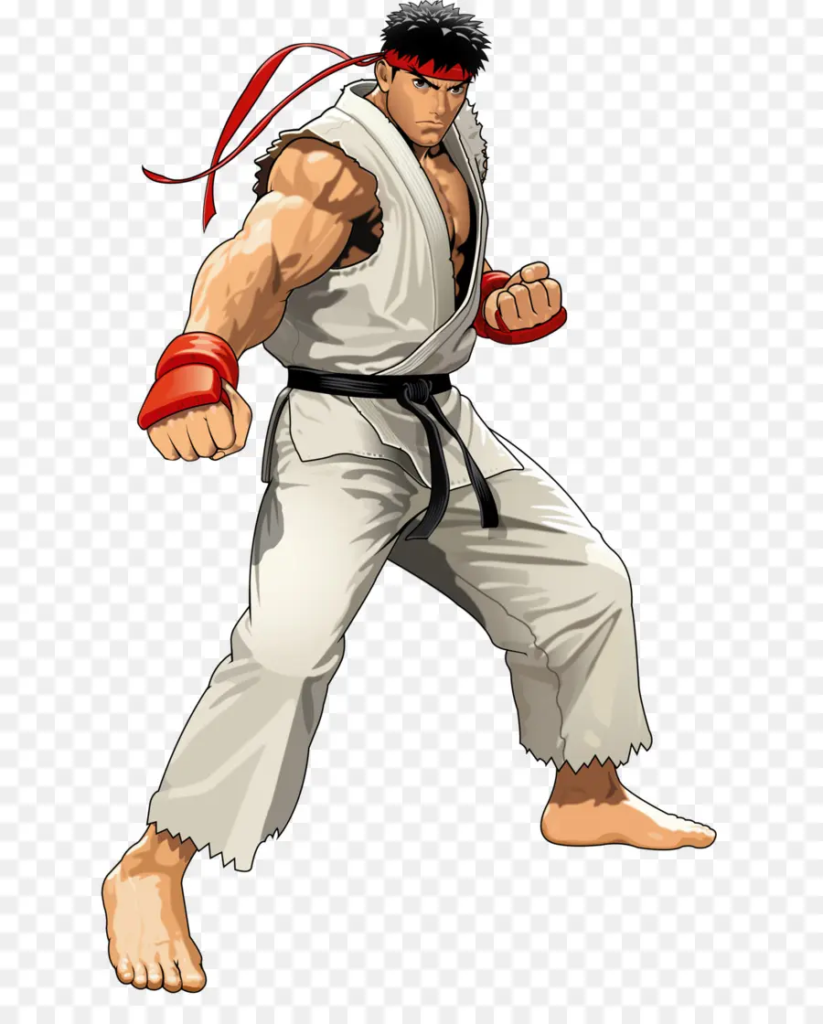 Street Fighter，Street Fighter Ii El Mundo De Guerrero PNG