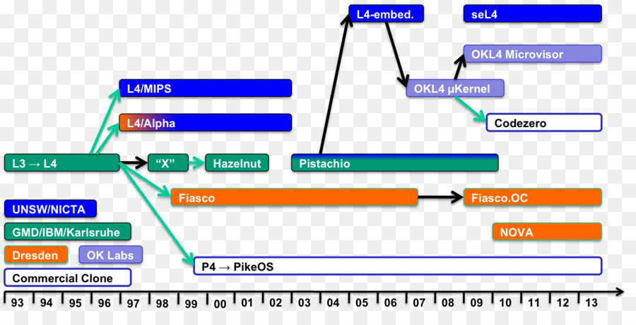 L4 Micronúcleo De La Familia，Micronúcleo PNG