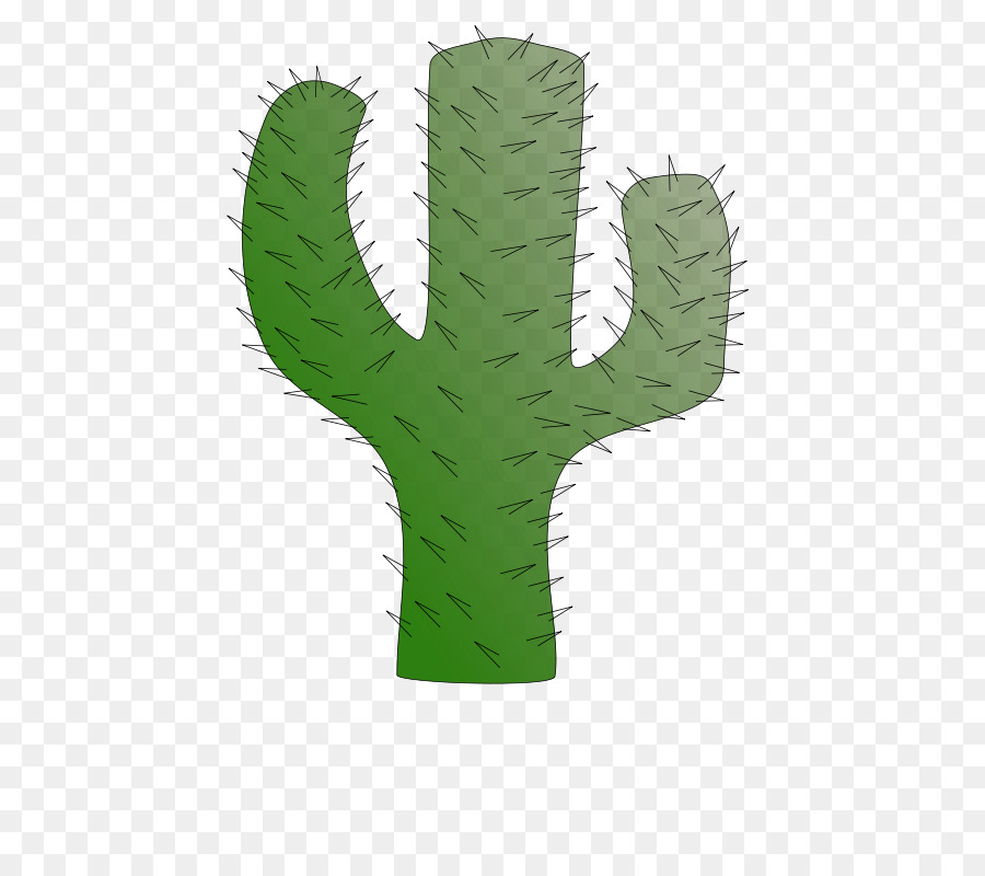 Cactaceae，Iconos De Equipo PNG