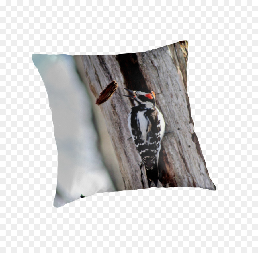 Almohadas，Cojín PNG