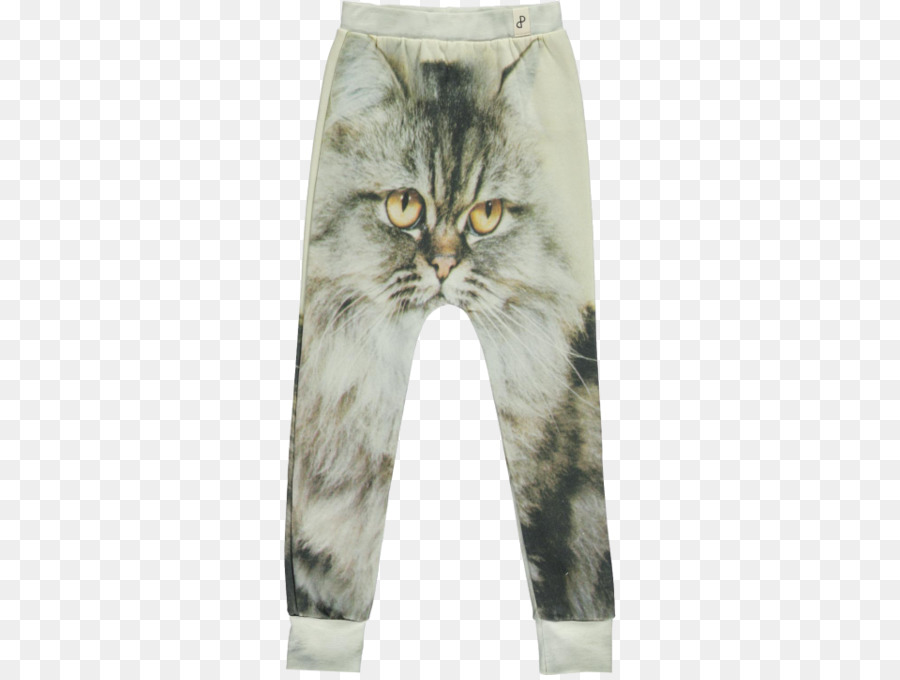 Leggings，La Flacidez PNG