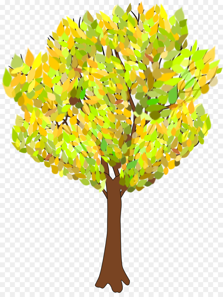 árbol，Otoño PNG