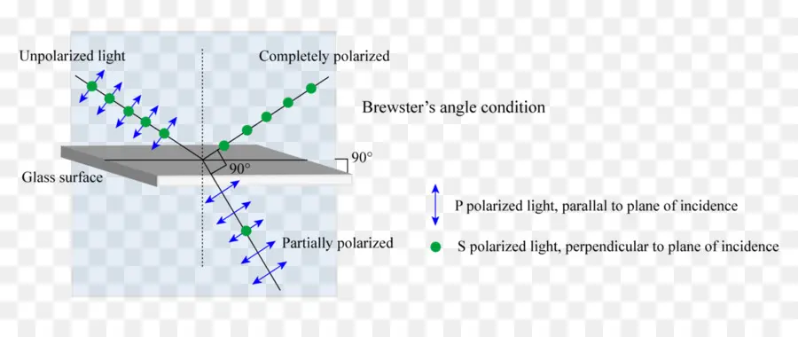 La Luz，La Luz Polarizada PNG