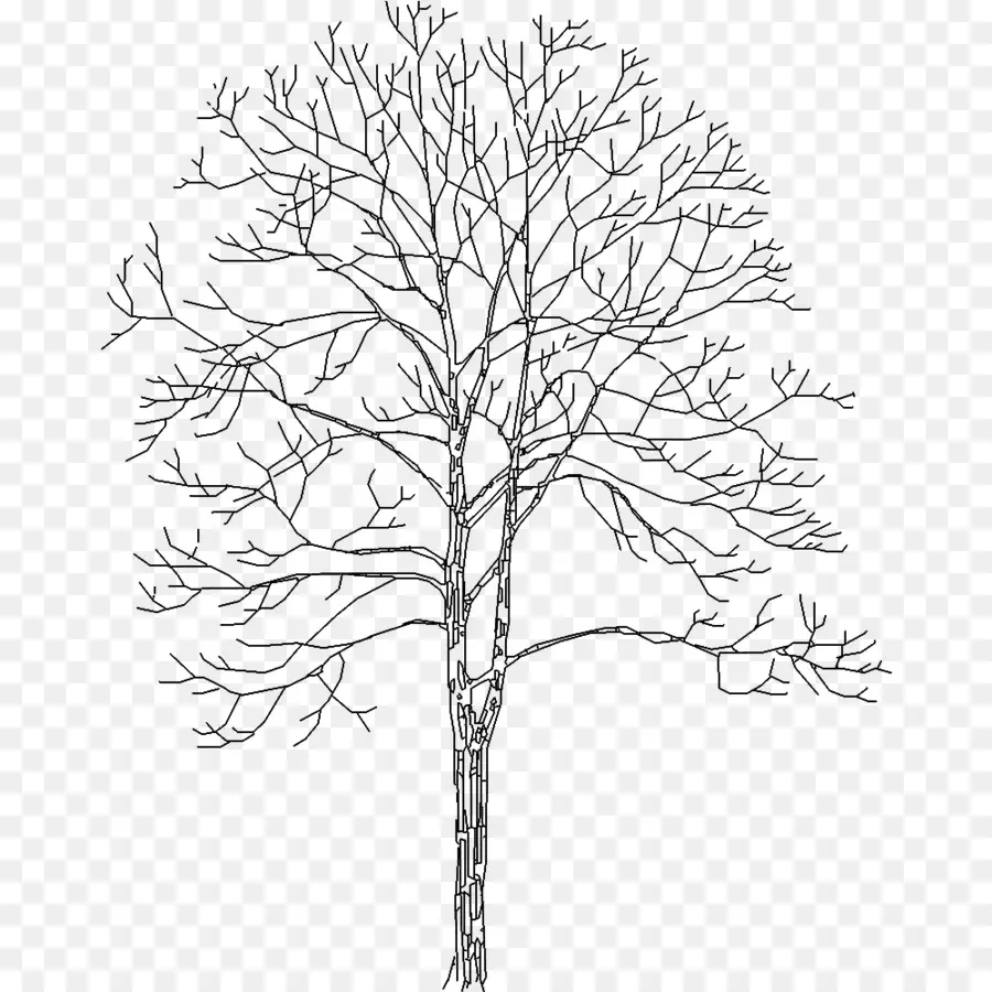 árbol，Dwg PNG