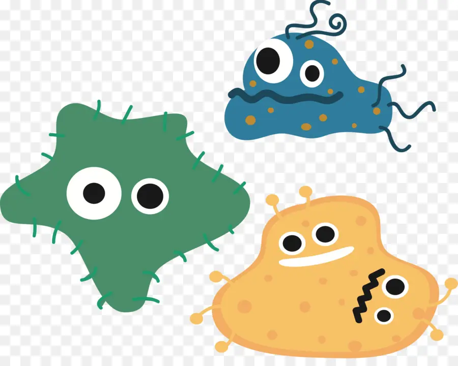 Las Bacterias，Microorganismo PNG