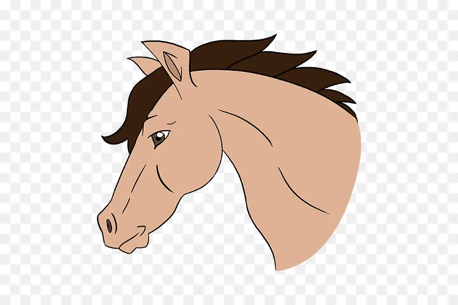 Cabeza De Caballo，Equino PNG