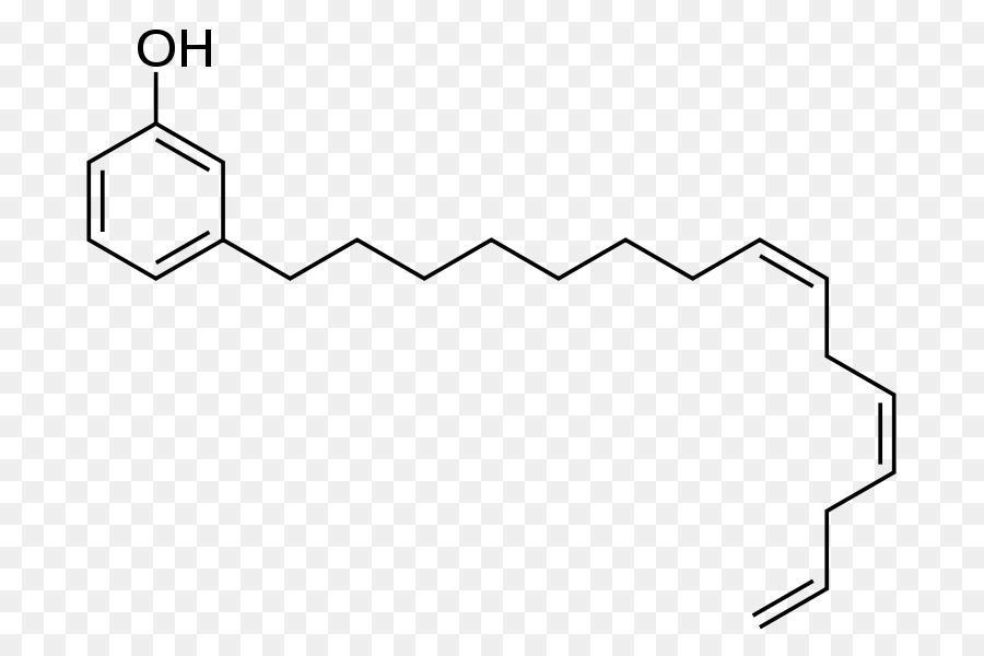 Anacardo，Cardanol PNG