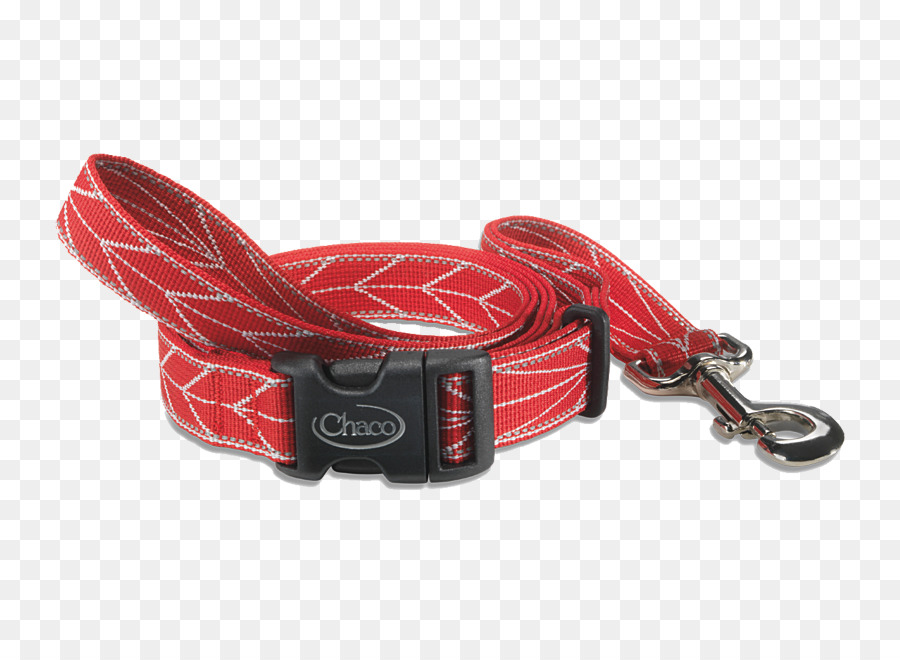 Correa，Collar De Perro PNG