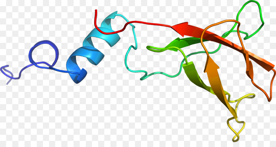 Estructura Proteica，Molécula PNG