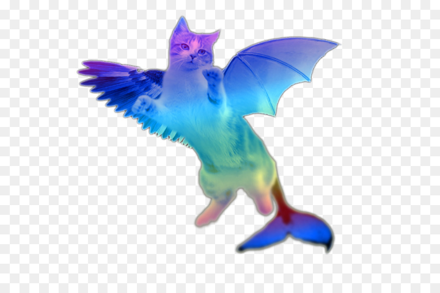 Gato，Nyan Cat PNG