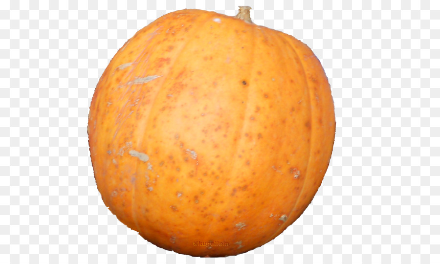 Calabaza，Calabaza De Invierno PNG