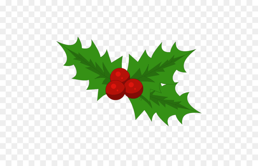 Navidad，Acebo Común PNG