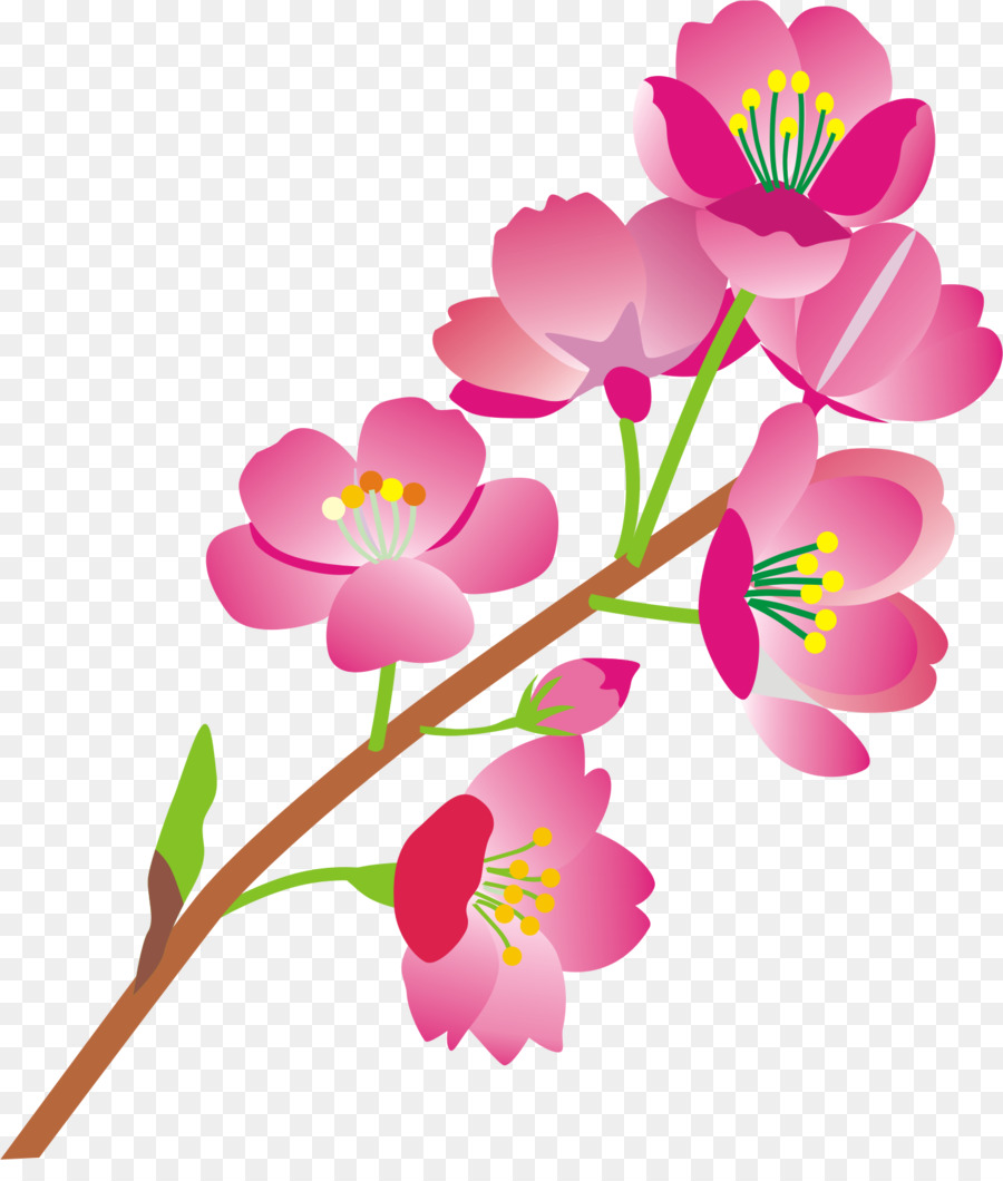 Flor，Florecer PNG