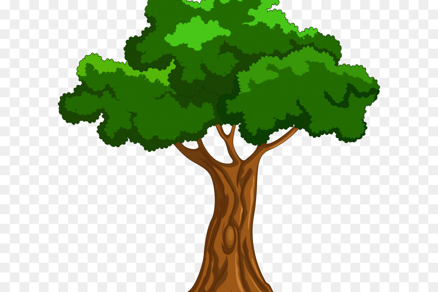 árbol，De Dibujos Animados PNG