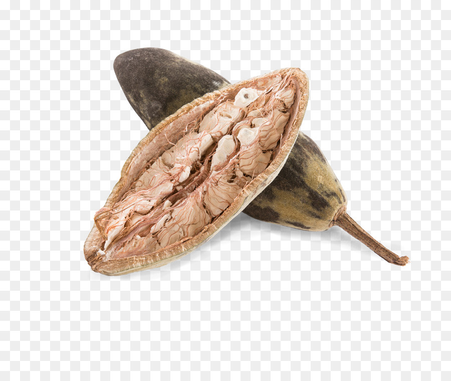 Fruta Baobab，Fruta PNG