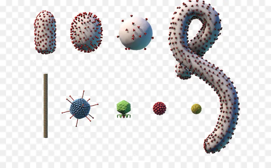 Virus，Microorganismo PNG