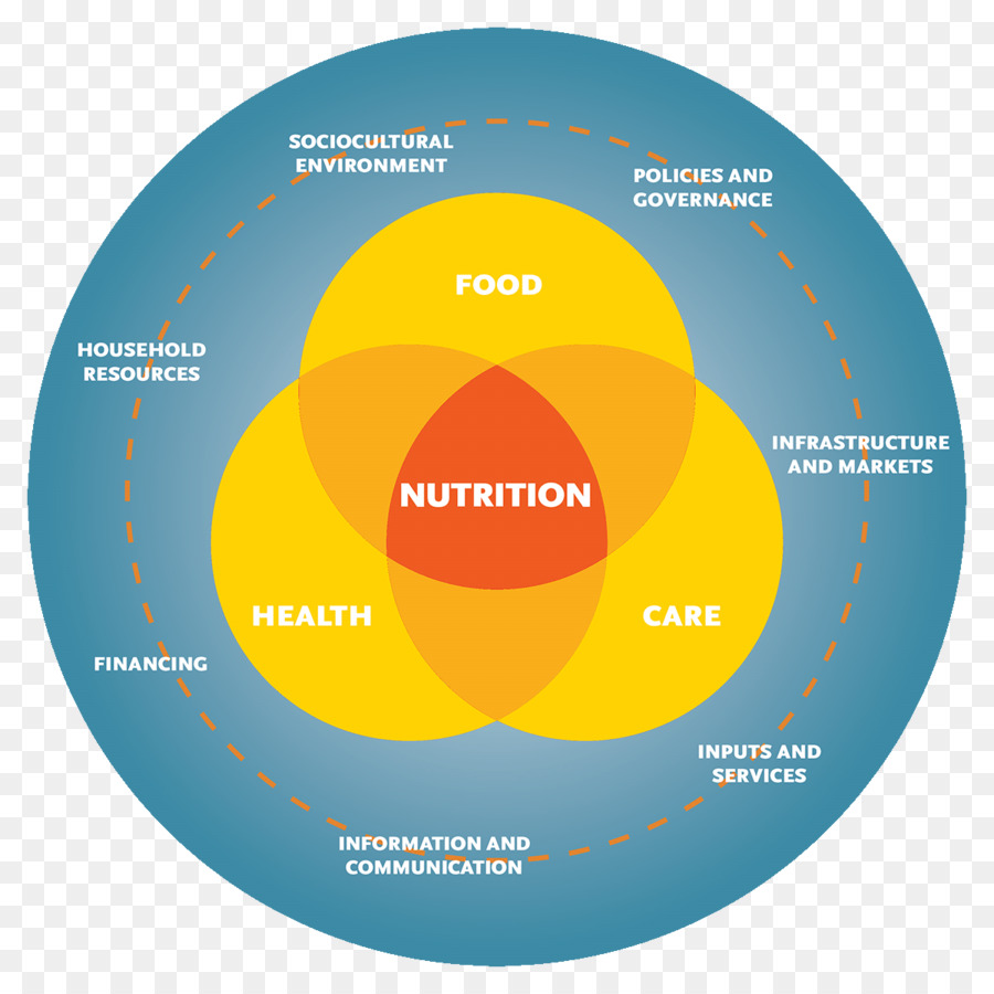 Diagrama De Nutrición，Salud PNG