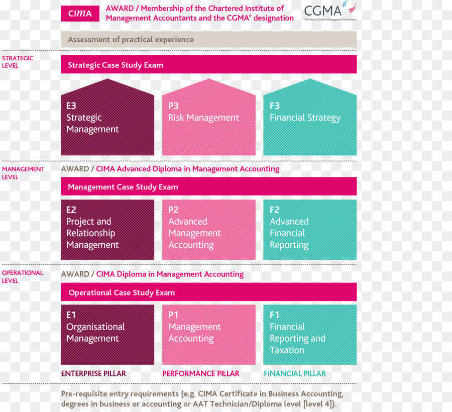 Chartered Institute Of Management Accountants，Prueba PNG