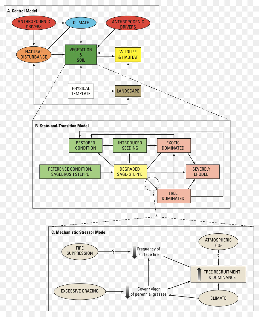 Diagrama De，Modelo Conceptual PNG