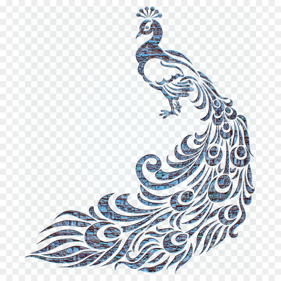 Pavo Real，Pluma PNG