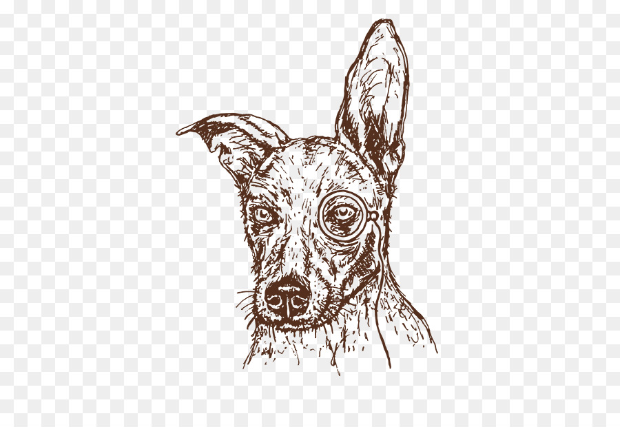 Fotógrafo，Perro PNG