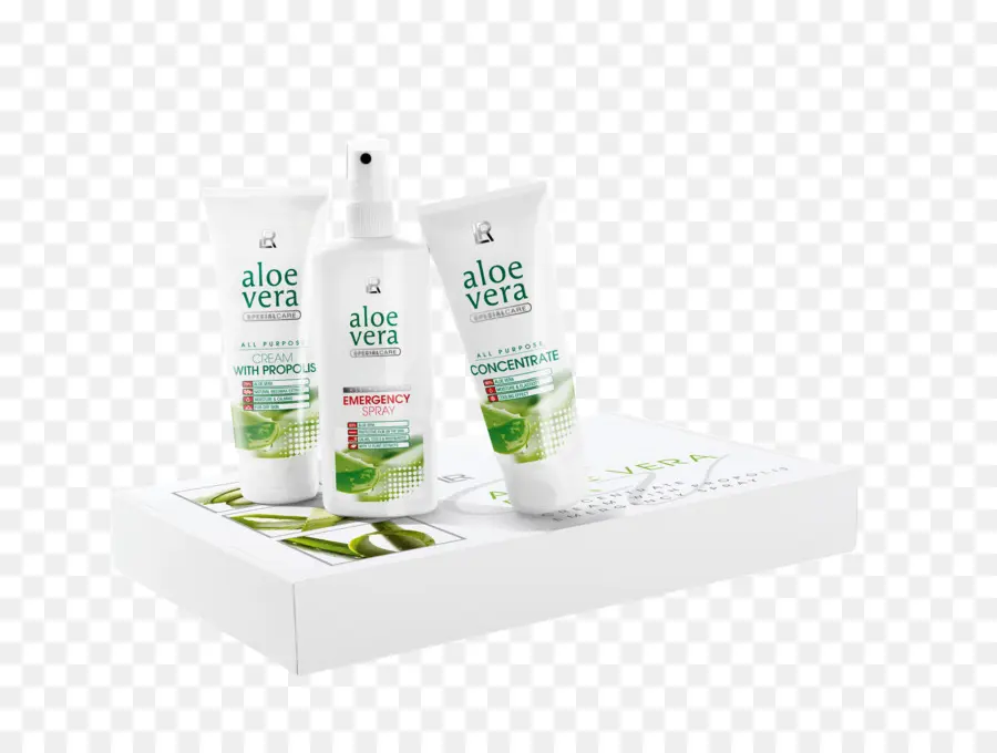 Aloe Vera，La Piel PNG