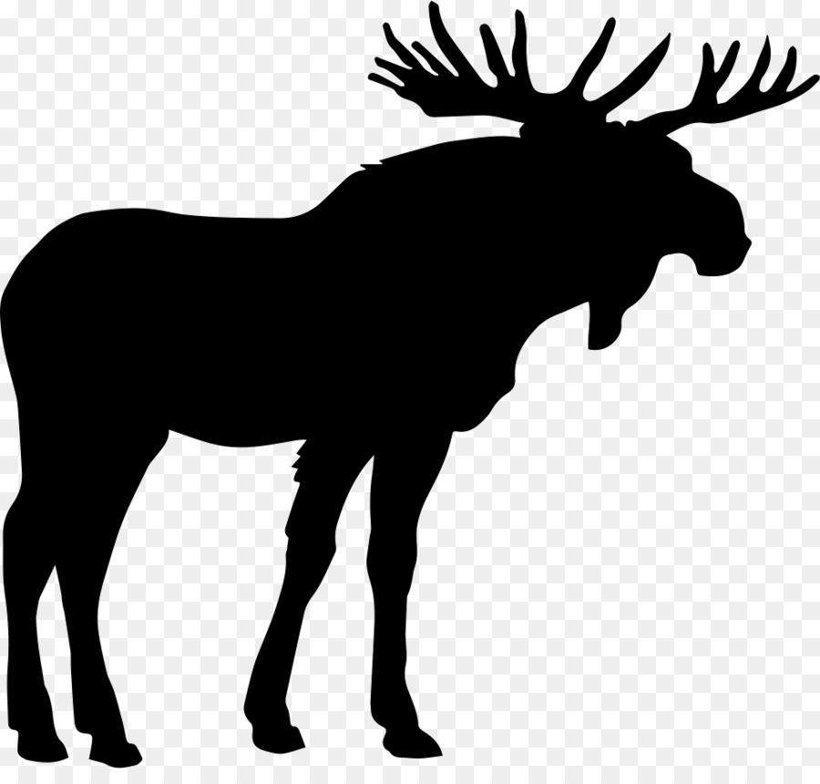 Alce，Elk PNG