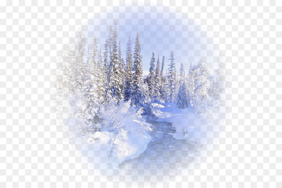 Bosque Nevado，Invierno PNG