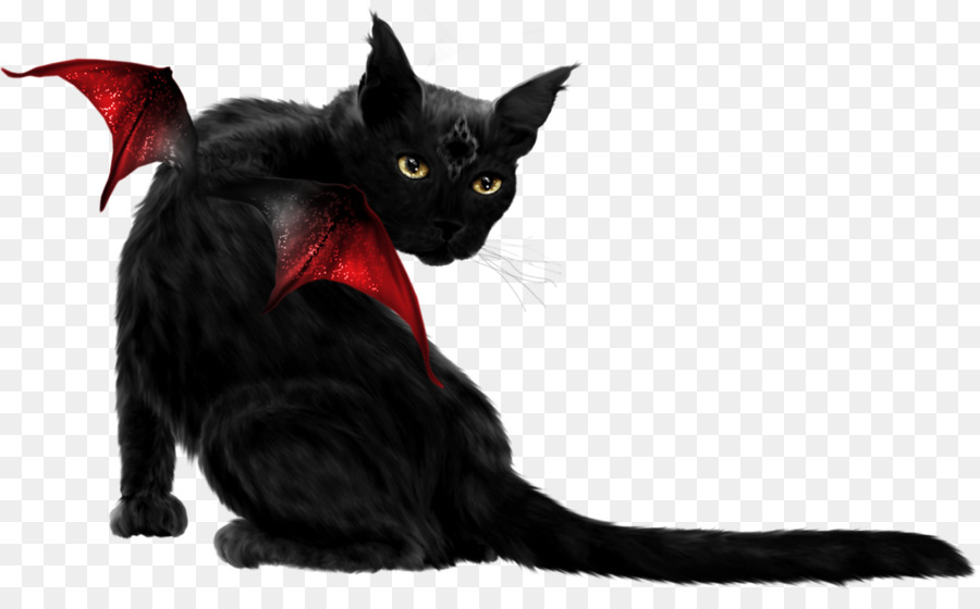 Gato Negro Con Alas，Fantasía PNG