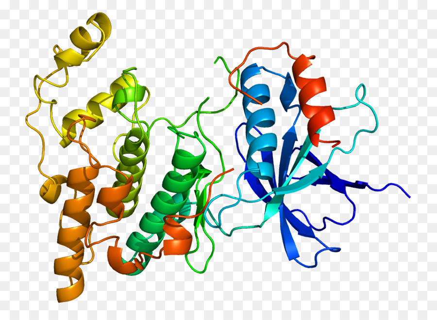 Cjun Nterminal Quinasas，Mitogenactivated De La Proteína Quinasa PNG