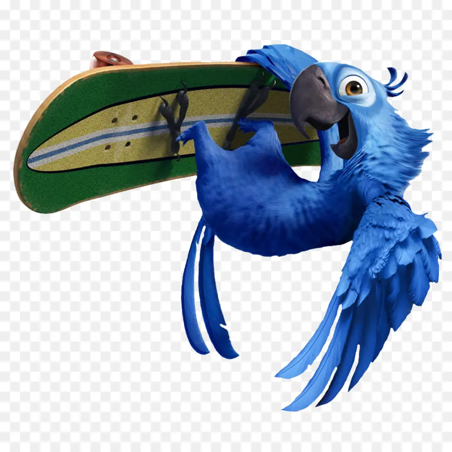 Pájaro Azul，Monopatín PNG