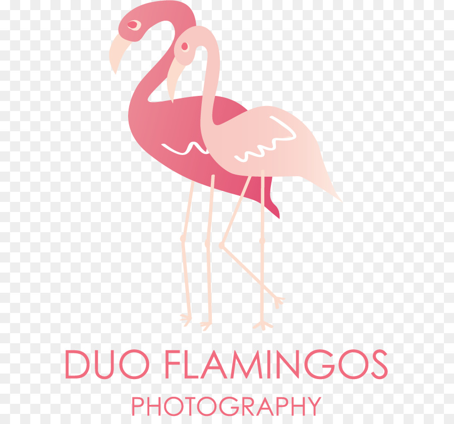 Palabra，Duo Flamencos De La Fotografía PNG