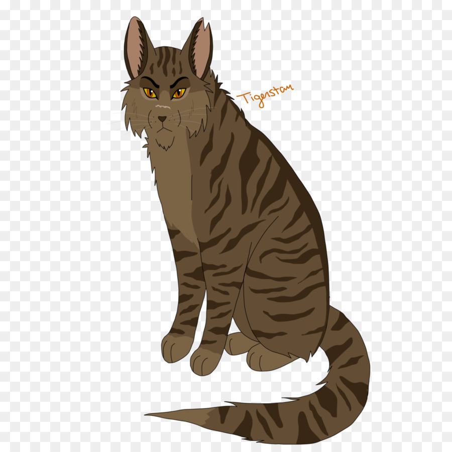 Gato Atigrado，Gatito PNG