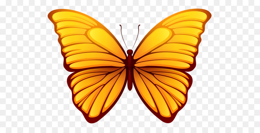 Mariposa，Color PNG