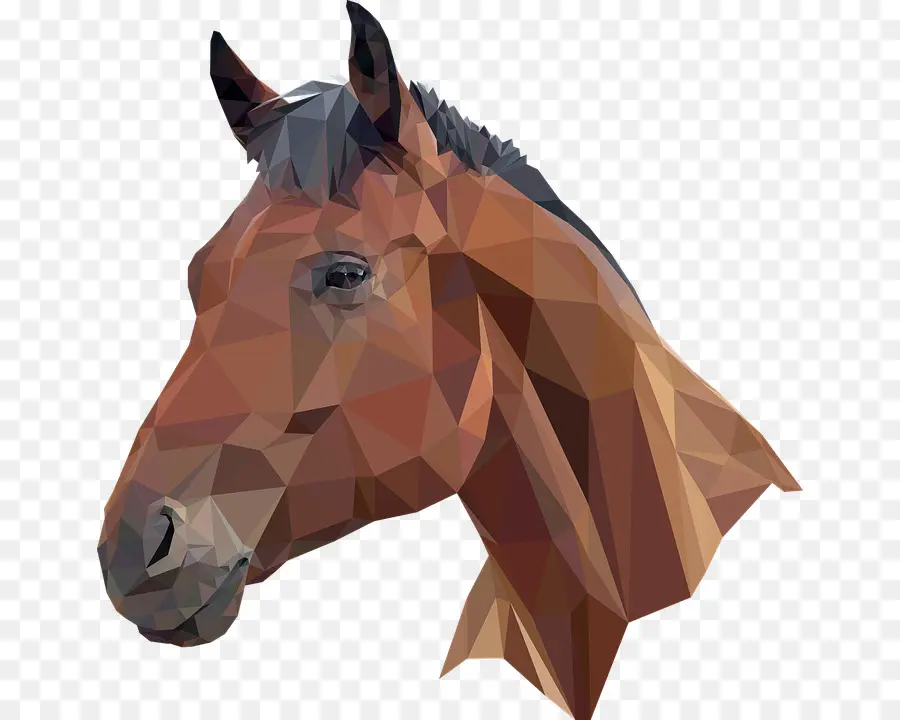 Cabeza De Caballo，Equino PNG