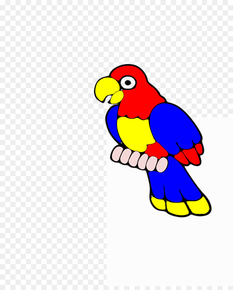 Loro，Pájaro PNG