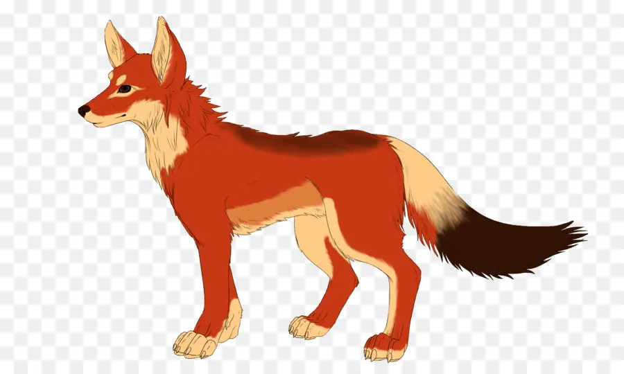 Zorro Rojo，Dhole PNG