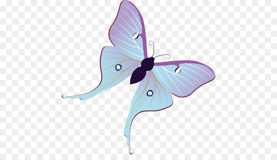 Mariposas Moradas，Naturaleza PNG