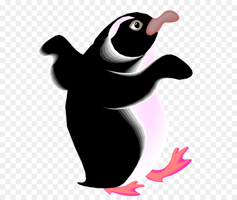 Penguin，Razorbills PNG