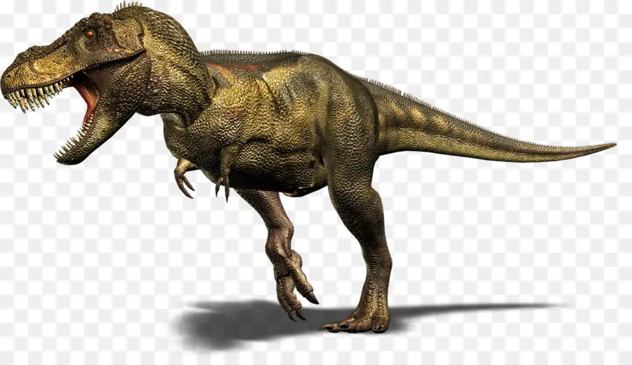 Tarbosaurus，Spinosaurus PNG