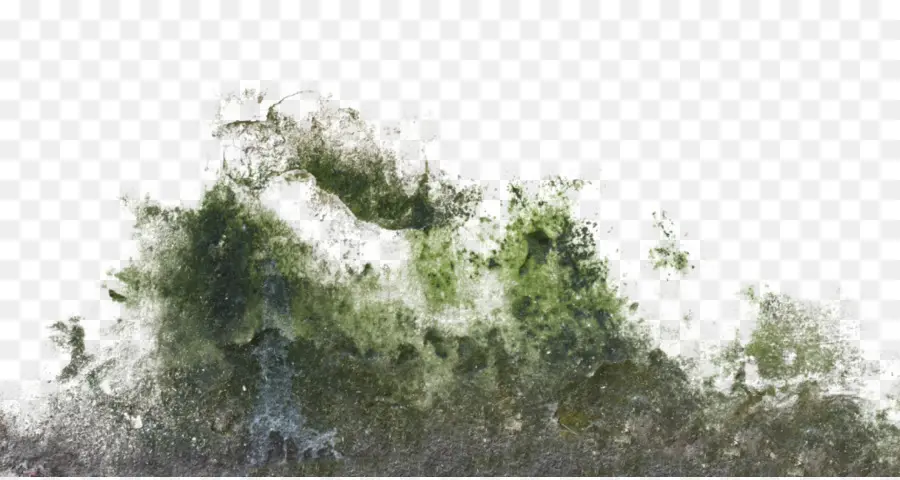 Salpicadura Verde Abstracta，Verde PNG