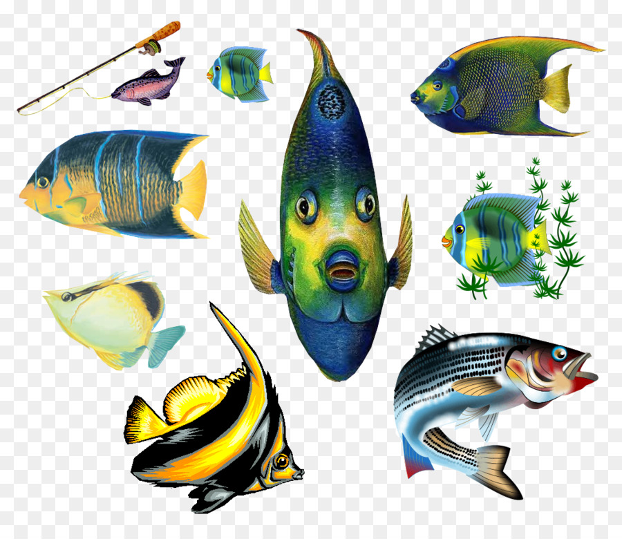 Los Peces，Mar PNG