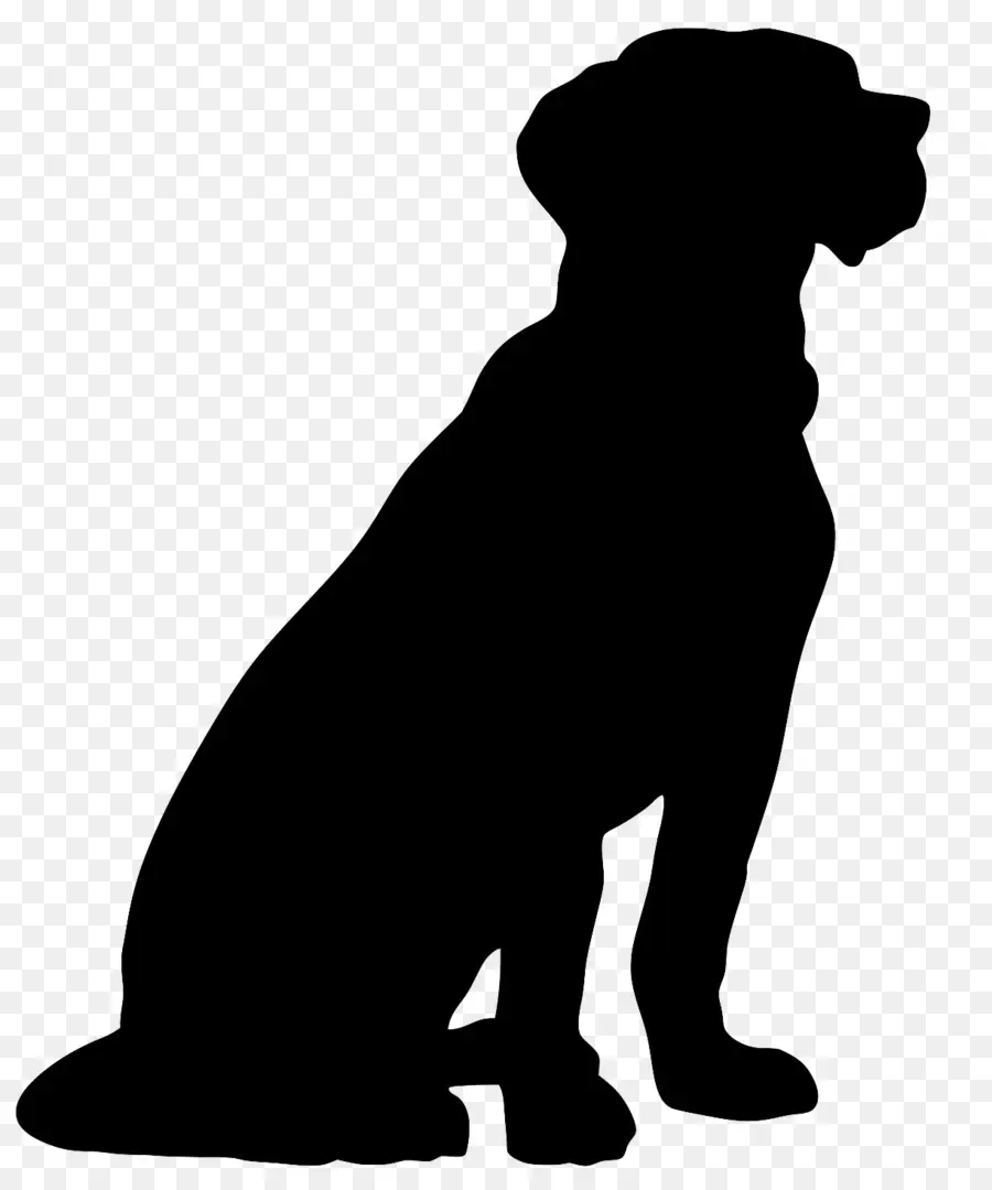 Labrador Retriever，Cuidado De Mascotas PNG