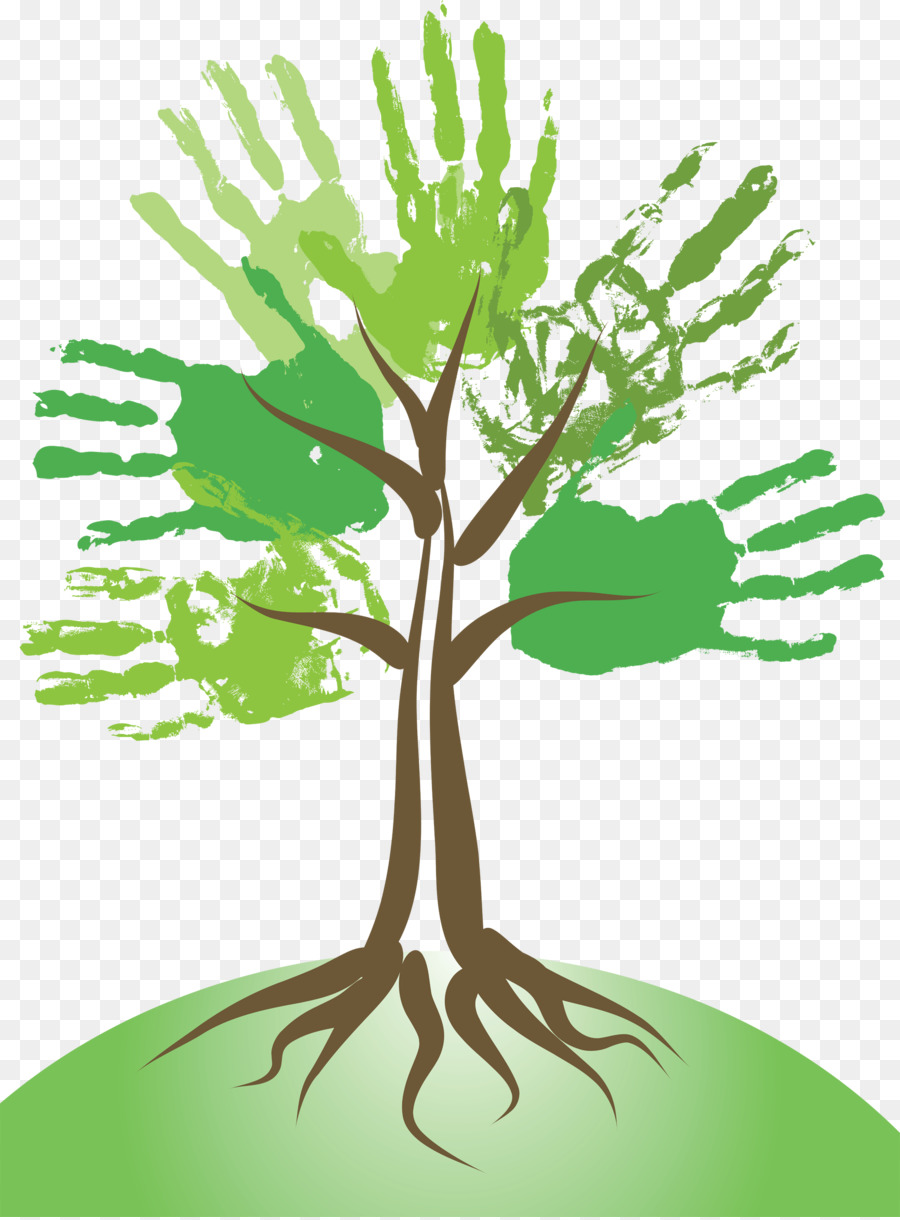 árbol，La Fotografía PNG