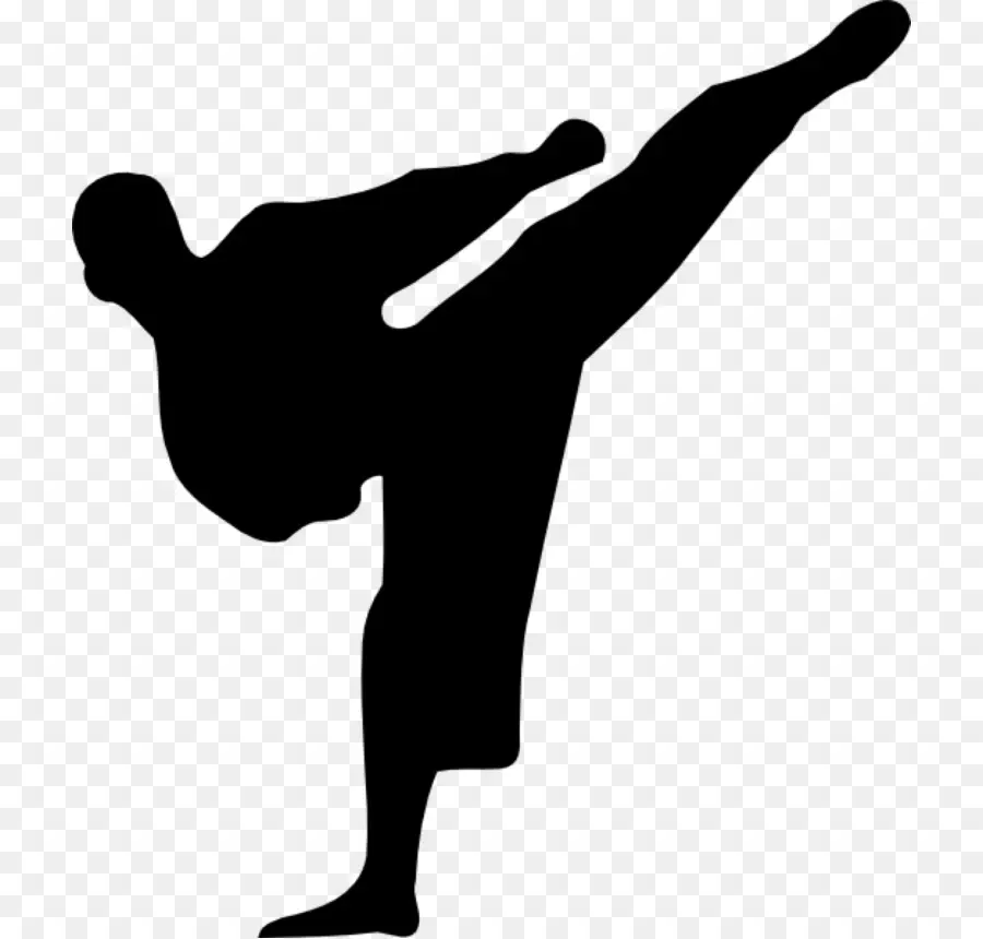 Karate，Las Artes Marciales PNG