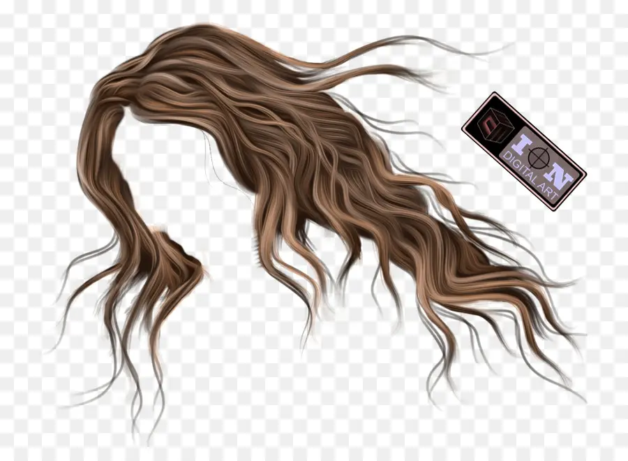 Pelo Castaño，Cabello PNG