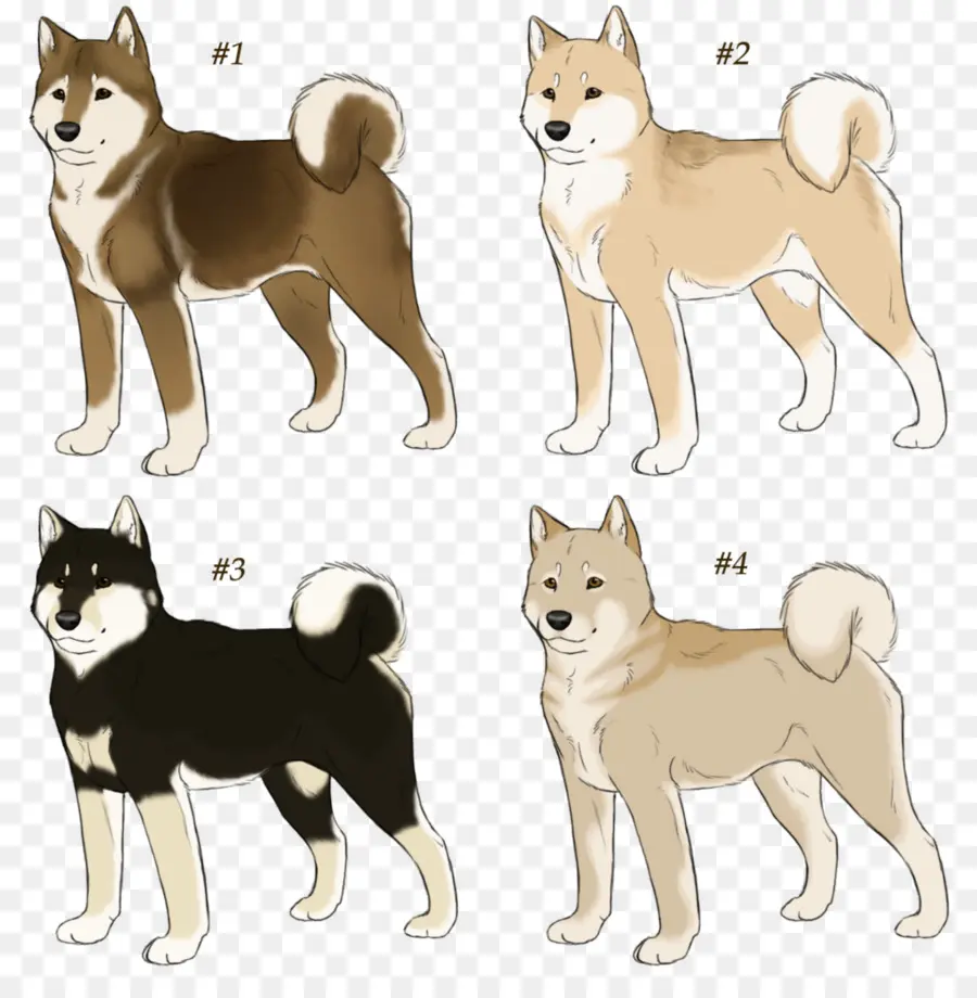 Shiba Inu，Shikoku Perro PNG