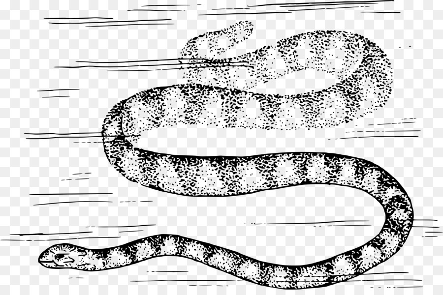 La Serpiente De Cascabel，La Serpiente PNG